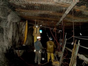 Mountain Coal